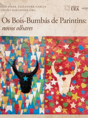 Os Bois-Bumbás de Parintins: novos olhares