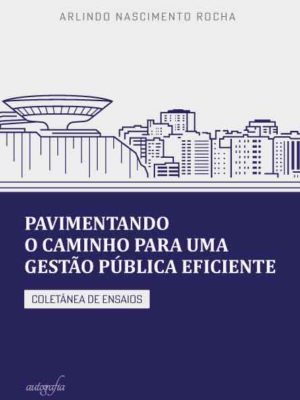 Pavimentando o caminho para uma gestão pública eficiente: Coletânea de ensaios